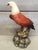 1950s 20th Century Large Italian Glazed Terra Cotta Eagle For Sale - Image 5 of 12