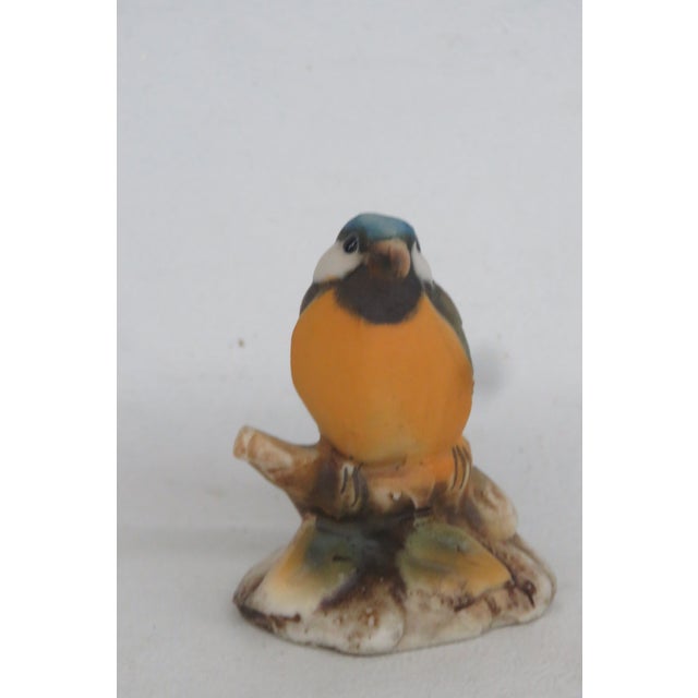 Ceramic Capodimonte Savastano Eurasian Blue Tit Ceramic Figurine Bird on a Branch 4496b For Sale - Image 7 of 17