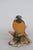 Ceramic Capodimonte Savastano Eurasian Blue Tit Ceramic Figurine Bird on a Branch 4496b For Sale - Image 7 of 17