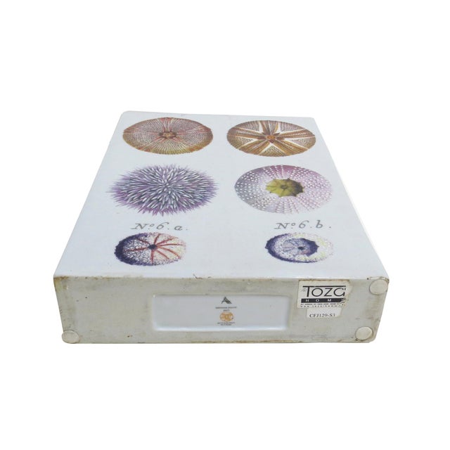 Fabienne Jouvin Paris 2-Sided Porcelain Jar/Vase - A Study of Sea Urchins For Sale - Image 9 of 12