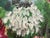 Late 20th Century Floral Oil on Canvas by Unknown Artist, Vintage For Sale In San Francisco - Image 6 of 12