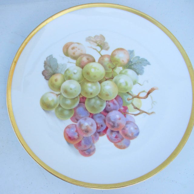 Vintage Bavarian Fruit Plates - Set of 6 For Sale In New York - Image 6 of 10