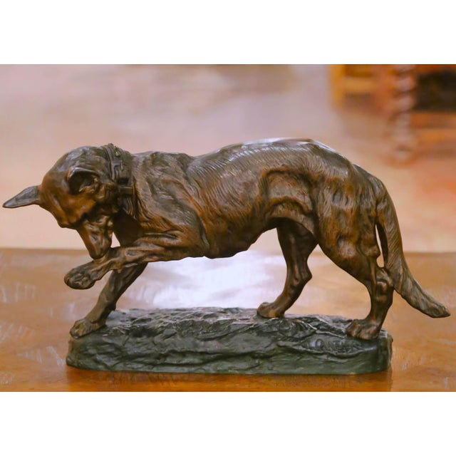 Early 20th Century French Animalier Bronze Hunt Dog Sculpture Signed T. Cartier For Sale In Dallas - Image 6 of 11