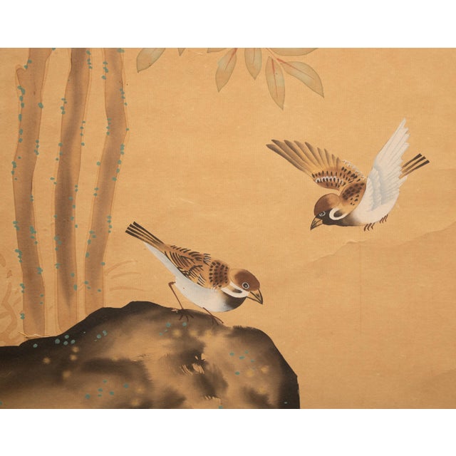 Wood Early 20th Century Meiji to Early Showa Era Japanese Watercolor Scroll Painting. "Sparrows and Evergreen Japanese Skimmia" For Sale - Image 7 of 12