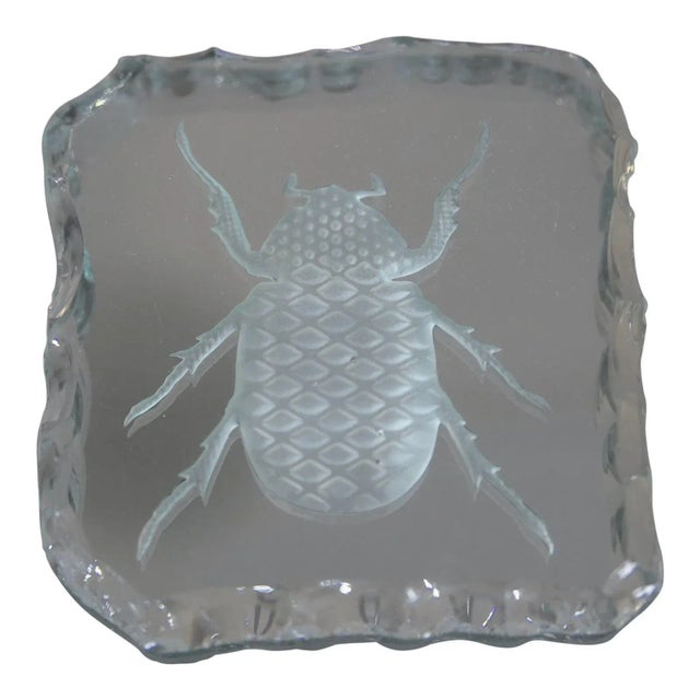 Glass Engraved Scarab Beetle Coaster For Sale - Image 10 of 12