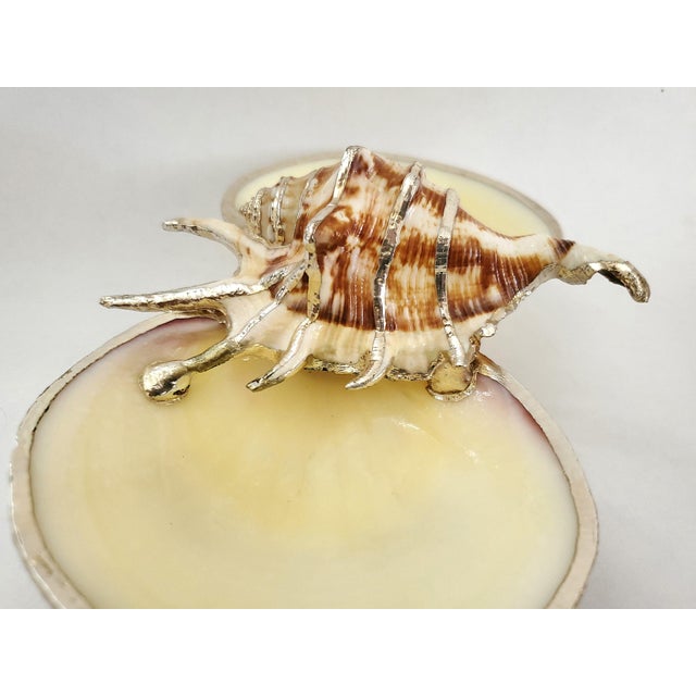 Bowl Caviar Dish Silver Dipped Shells Seashells For Sale - Image 10 of 14