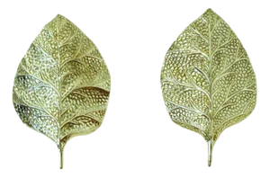 Brass Rhubarb Leaf Wall Lamps, 1970s, Set of 2