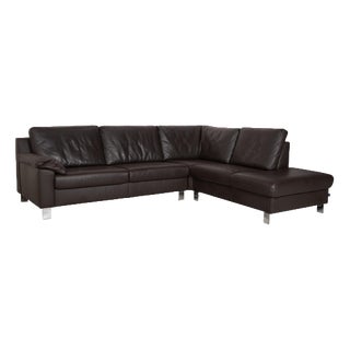 Dark Brown Leather Sofa from Ewald Schillig For Sale