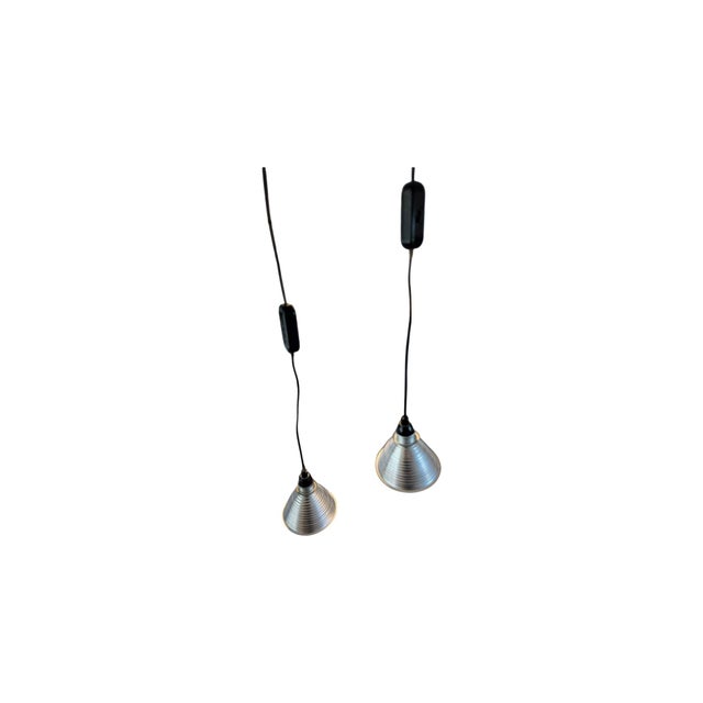Grasl Vulgaris Pendant Lamps by Jan Roth for Ingo Maurer Design M, 1973, Set of 2 For Sale - Image 16 of 16