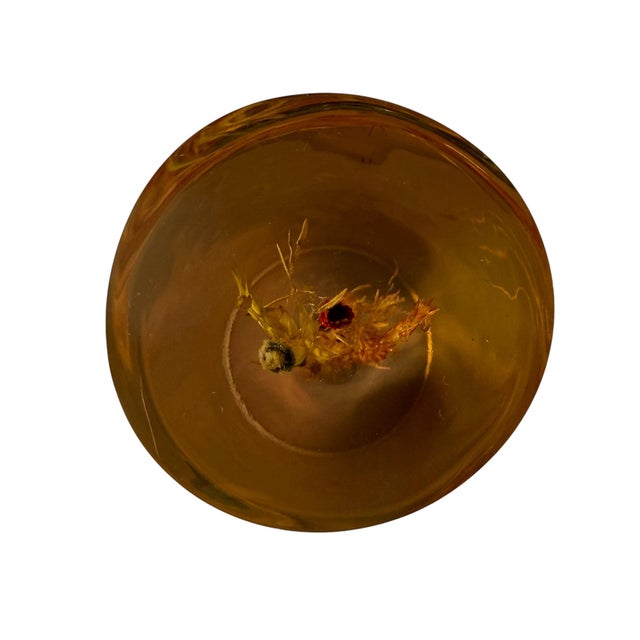 1970s Vintage Lucite Floral Cylinder Paperweight Sculpture For Sale - Image 5 of 7