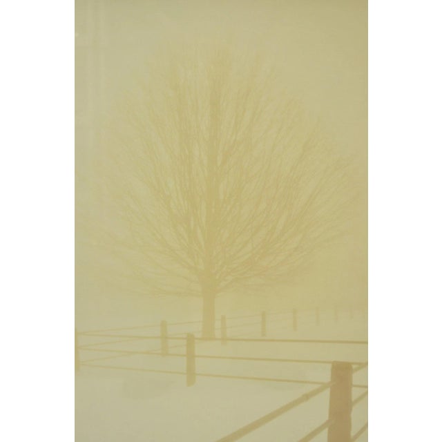 Modern Vintage David Lorenz Winston Solitude Tree Fence Winter Landscape Signed Print For Sale - Image 3 of 14