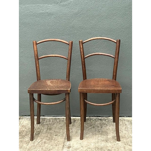Mid-Century Modern Vintage Carved Crocodile Wood Dining Chairs - A Pair For Sale - Image 3 of 12