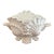 Mottahedeh Italian White Ceramic Shell Form Tureen For Sale