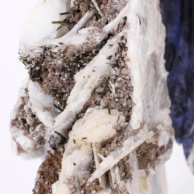 Carved Stone Parrot For Sale - Image 4 of 9