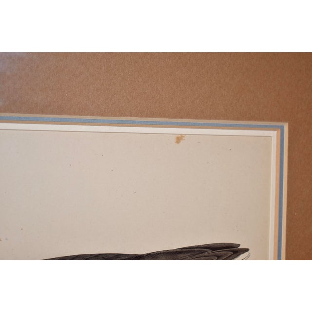 Victorian 19th Century Beverley Morris Engraving For Sale - Image 3 of 6