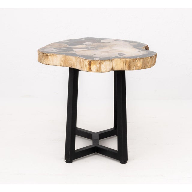 Dark Gray Contemporary Petrified Wood Side Table For Sale - Image 8 of 10