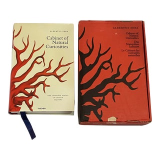 21st Century Taschen Albertus Seba “Cabinet of Natural Curiosities” Xxl Book With Dust Cover and Box For Sale