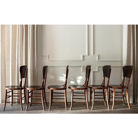 Wood Antique Bentwood Cafe Chairs in the Style of Micheal Thonet , Set of 6 For Sale - Image 7 of 16