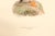 A framed hand-colored Puffin lithograph after Ferdinand von Wright (1822-1906), Sweden, circa 1920. This antique hand-...