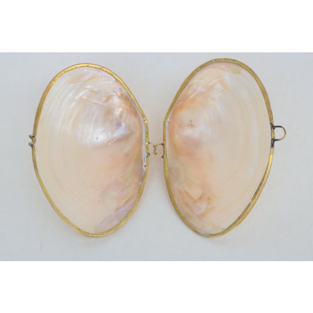 Hollywood Regency Mother of Pearl Shell Box With Brass Trim For Sale - Image 3 of 6