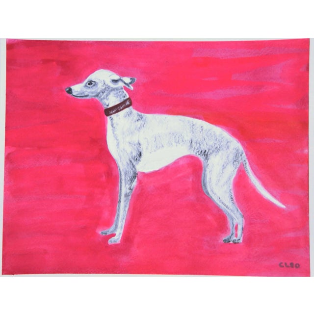 Greyhound on Raspberry by Cleo Plowden Chairish