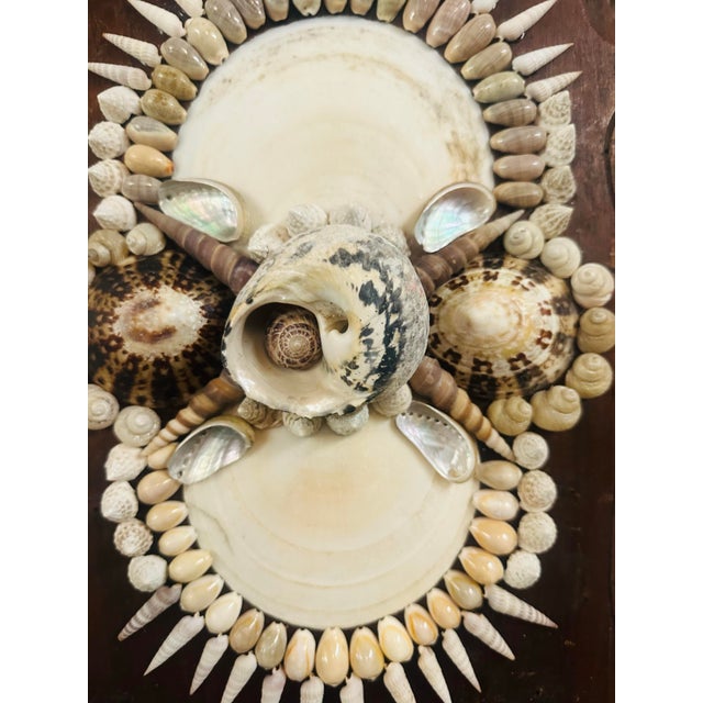 Shell Vintage Shell Art For Sale - Image 7 of 7