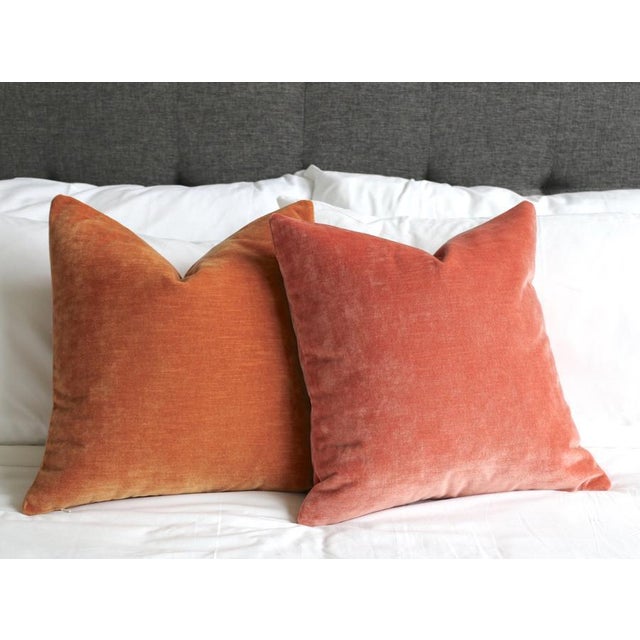 Apricot Velvet Euro Sham 24x24 Chairish