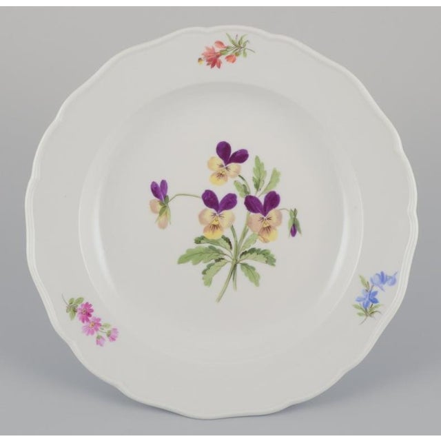 Porcelain Dinner Plates with Floral Motifs from Meissen, Germany, 1890s, Set of 4 For Sale - Image 4 of 10