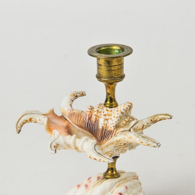 Shell Vintage Natural Seashell and Brass Candlestick Holder Pair For Sale - Image 7 of 13