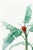 Paper Scarlet Banana Illustration, Vintage Botanical Art Print Reproduction, 24" X 36" For Sale - Image 7 of 10