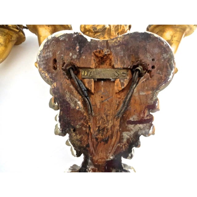 19thc French Louis XV Carved & Gilt Wood Putto/ Cherub Double Wall Sconces Electrified a - Pair For Sale - Image 11 of 13