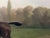 Dark Green 1887 Victorian Equestrian Portrait of a Gentleman & Bay Horse in Hyde Park For Sale - Image 8 of 18