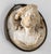 French 19th Century French Renaissance Revival Distressed Plaster Medallion of a Male Figure For Sale - Image 3 of 10