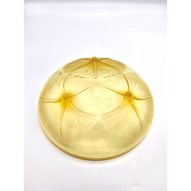 Glass Vintage Amber and Opalescent Glass Bowl by René Lalique, 1920s For Sale - Image 7 of 10