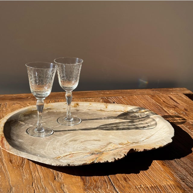 Contemporary Large Beige Petrified Wood Storage Tray or Dish For Sale - Image 3 of 18