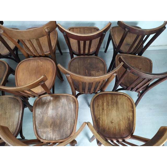 Bistro Chairs, 1920s, Set of 14 For Sale - Image 6 of 18