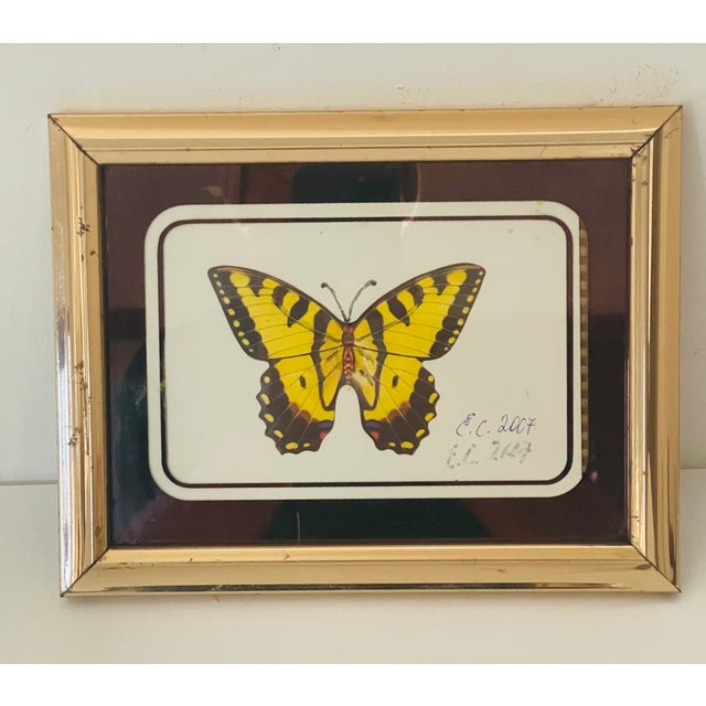 Butterfly collage in antique brass frame.