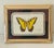 Butterfly collage in antique brass frame.