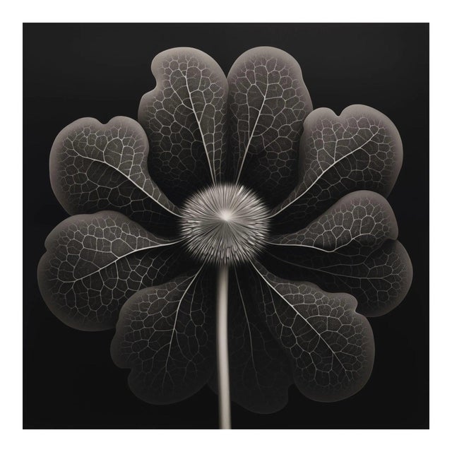 Contemporary Kalmia Angustifolia Flower — Vintage Botanical Photography Print For Sale - Image 3 of 3