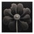 Contemporary Kalmia Angustifolia Flower — Vintage Botanical Photography Print For Sale - Image 3 of 3