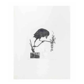 Leo Guida, Crow on the Branch, Etching, 1972 For Sale