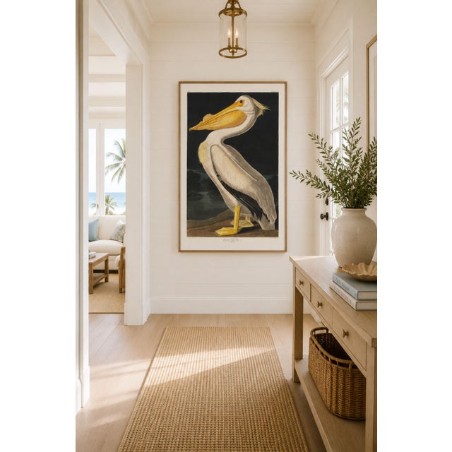 John James Audubon American White Pelican (Audubon), Vintage Art Print Reproduction, 12″ × 18″ For Sale - Image 4 of 10