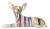 Interior Illusions Plus Graffiti Chihuahua Dog Laying - 11" long For Sale