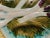 Antique French Asparagus Barbotine Plate from Salins, 1900s, Set of 4 For Sale - Image 5 of 8