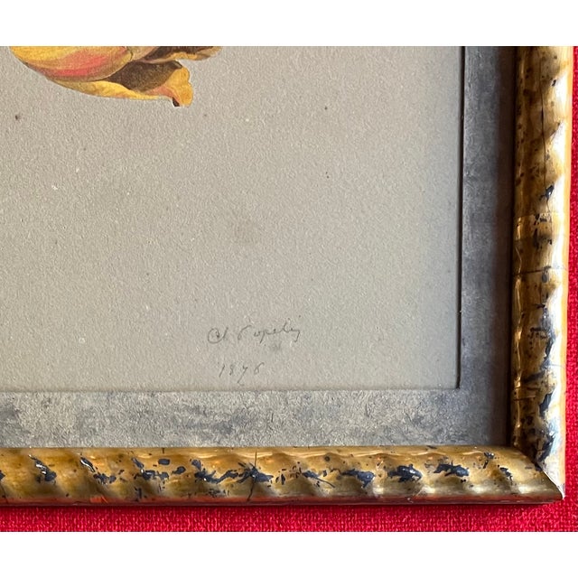 Antique 19th Century American Floral Botanical Watercolor Study of Tulips and Pansies Signed Copely For Sale In New York - Image 6 of 10