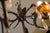 Late 19th Century French Iron & Crystal 15-Light Chandelier For Sale - Image 4 of 9