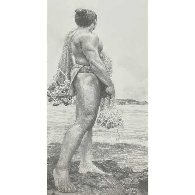 Edwin Kayton "Hawaiian Man" Original Graphite Portrait C.1998 A young muscular Hawaiian man fishing nets Dimensions 19.5"...