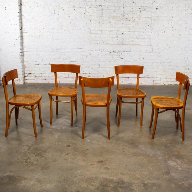 Bauhaus Mid to Late 20th Century Bauhaus Beech Bentwood Dining Chairs W/Cane Seats by Thonet Set of 5 For Sale - Image 3 of 18