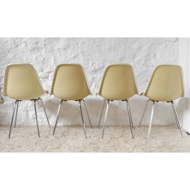 1960s DSX Dining Chairs by Charles and Ray Eames for Herman Miller, 1960s, Set of 4 For Sale - Image 5 of 13