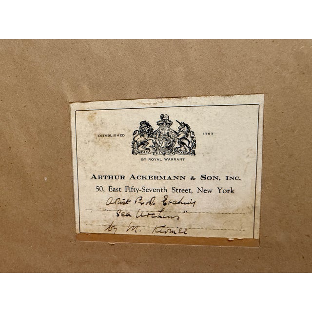 1930s 1930s Rare Marguerite Kirmse Artist Proof Etching Scottish Terrier "Sea Urchins" For Sale - Image 5 of 5